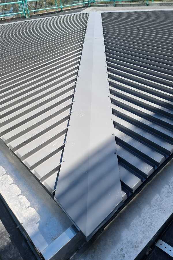 Forte Street Public School